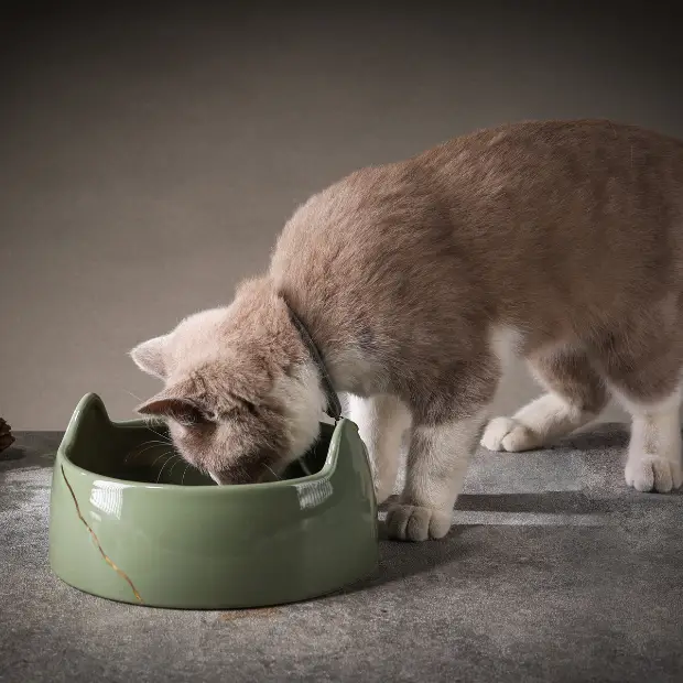 BosilunLife Cat Inspired Bowl - Green - 18cm by Glassware UK