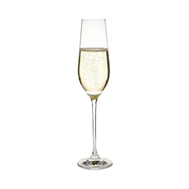 Harmony Champagne Flute - 230ml by Glassware UK