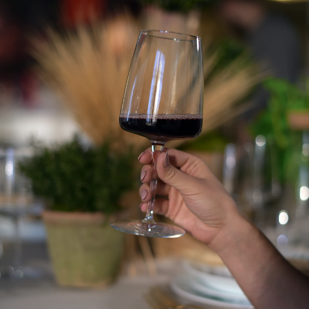 Bormioli Rocco Red Wine Glasses - 380ml - Set of 4