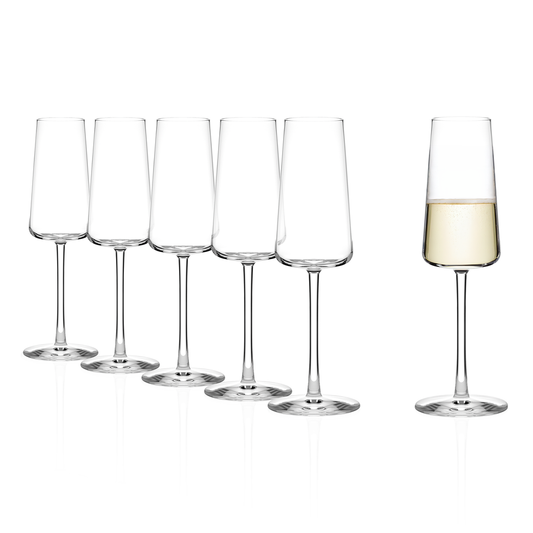 Stolzle Power Champagne Glasses - 240ml - Set of 6