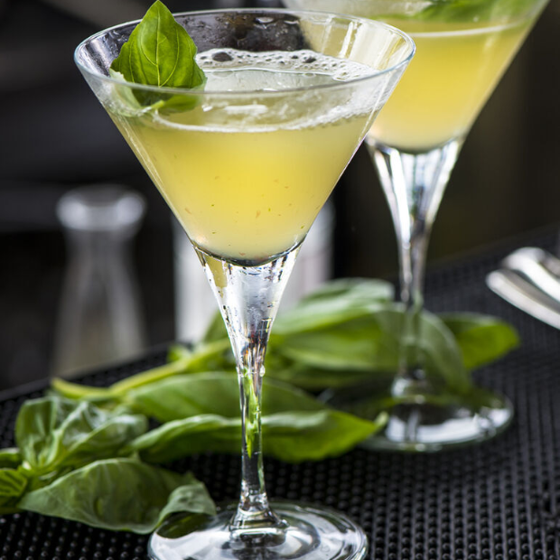 V Line Martini Glass - 250ml