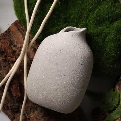 BosilunLife Boreal Mist Aromatherapy 300ml Diffuser set