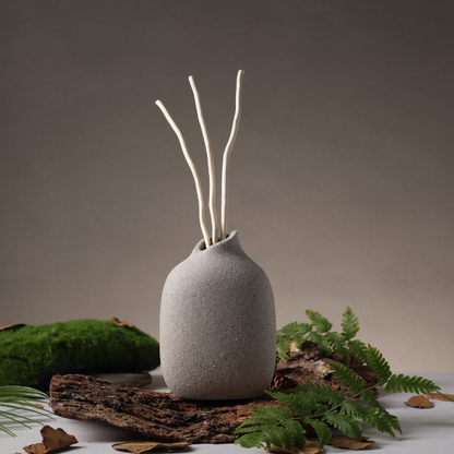 BosilunLife Boreal Mist Aromatherapy 300ml Diffuser set