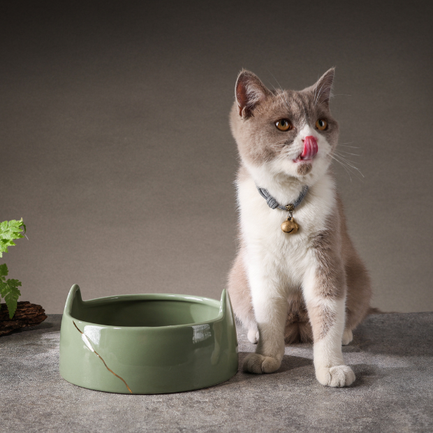 BosilunLife Cat Inspired Bowl - Green - 18cm
