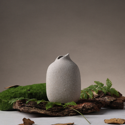 BosilunLife Boreal Mist Aromatherapy 300ml Diffuser set
