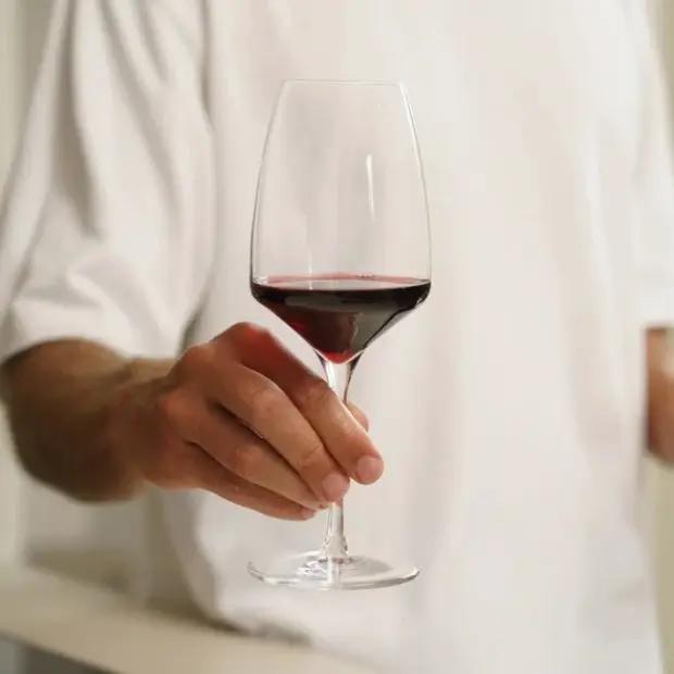 Stolzle Experience Red Wine Glass - 450ml by Stolzle