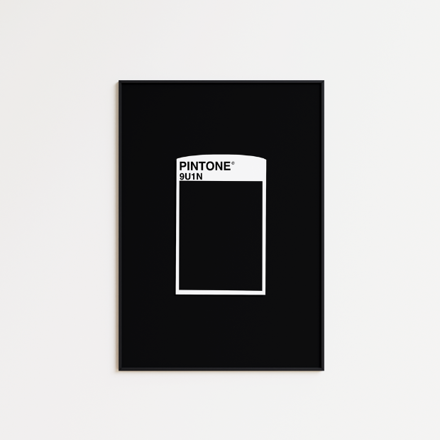 PINTONE Reference