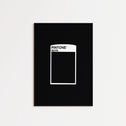 PINTONE Reference