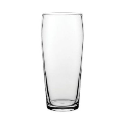 Ale Craft Beer Glasses - 570ml - Set of 6