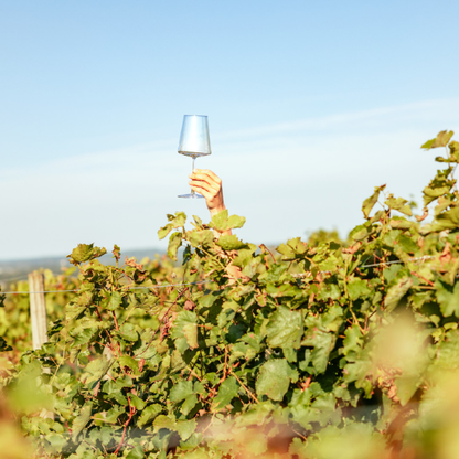 Stolzle Power White Wine Glass - 402ml - Set of 6