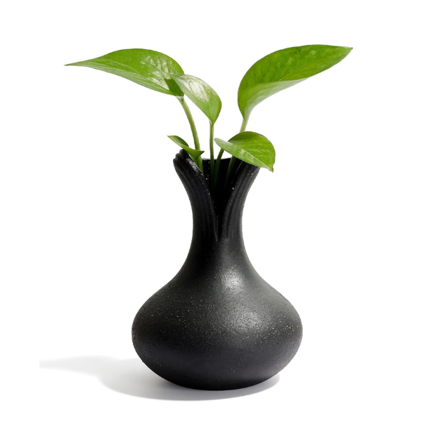 BosilunLife Elemental Flower Vase - Black