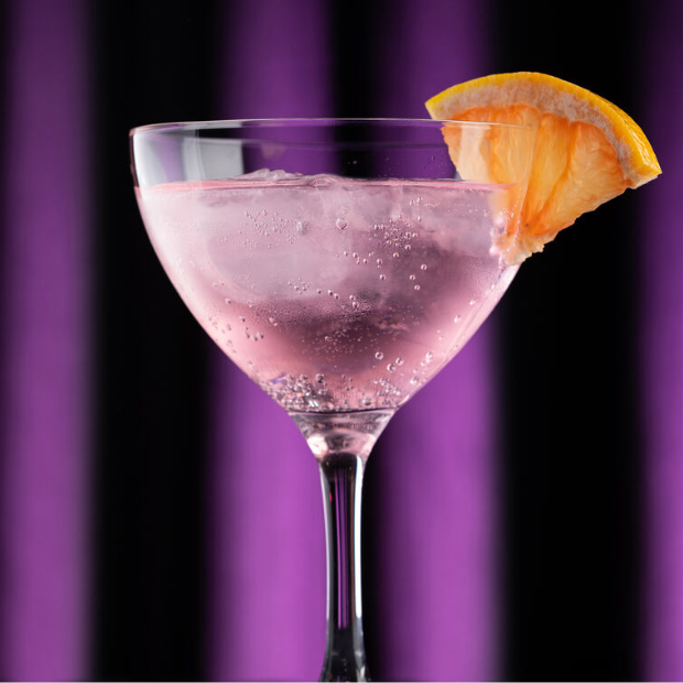 Loire Martini Glass - 240ml