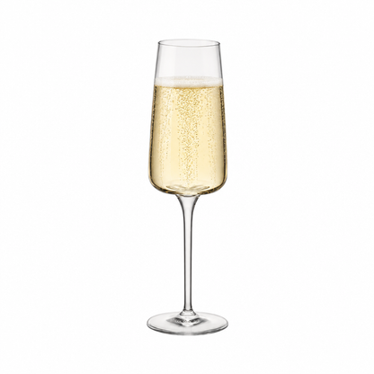 Bormioli Rocco Planeo Champagne Flute - 260ml by Bormioli Rocco