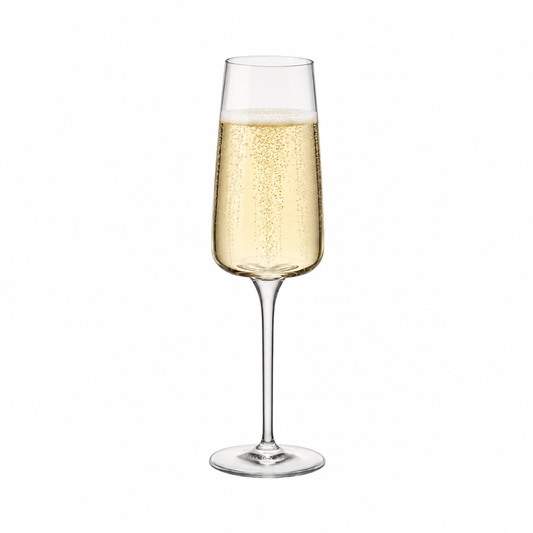 Bormioli Rocco Planeo Champagne Flute - 260ml by Bormioli Rocco